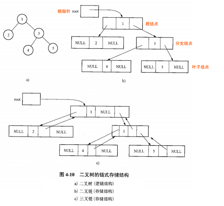 二叉树的链式存储结构