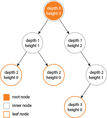 Difference Between Tree Depth and Height
