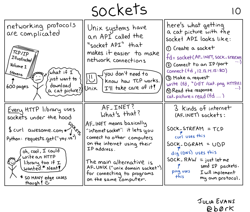 sockets