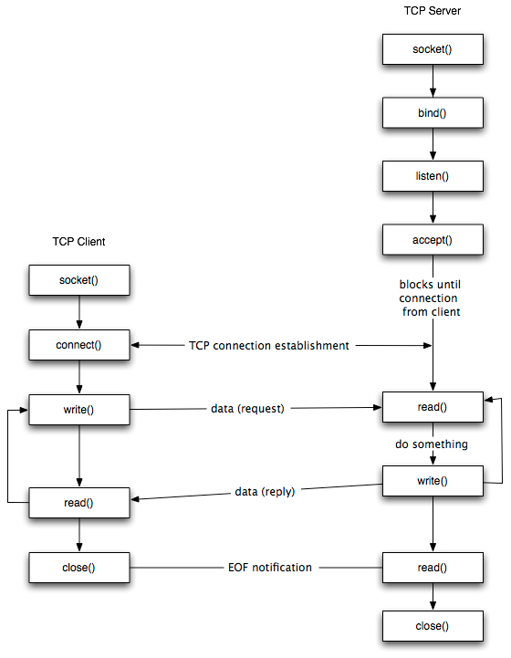 TCP socket