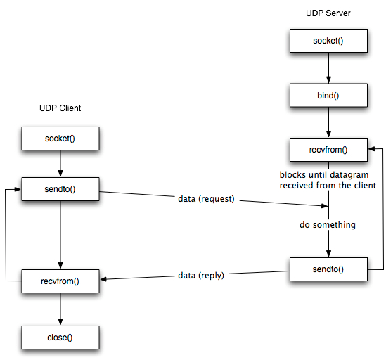 UDP socket