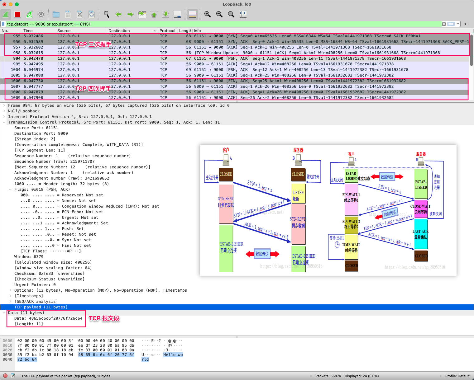 Wireshark